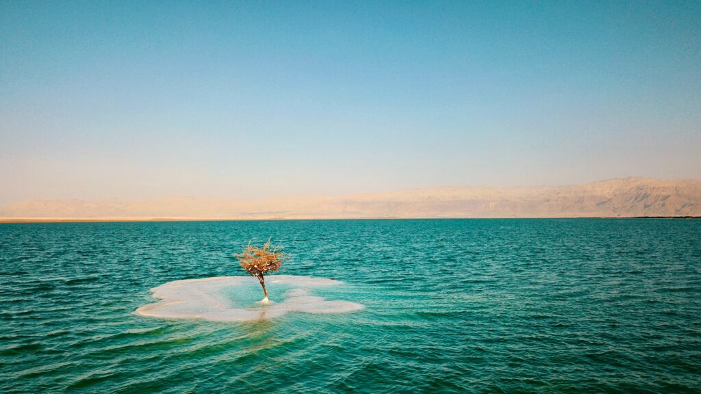 The-Dead-Sea